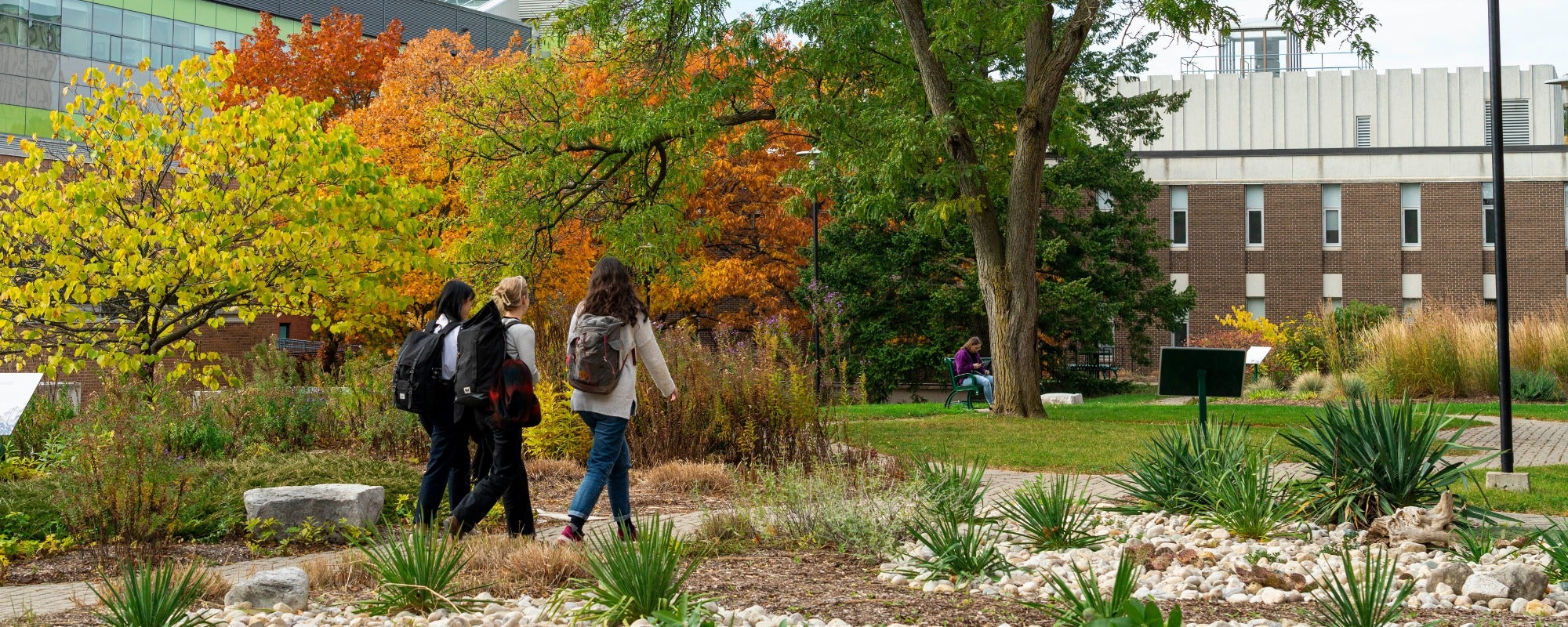 Exploring Canada: Travel Tips and Hidden Gems | Postdoctoral Scholars